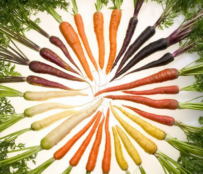 Artículo: ¿Muchos colores? La Zanahoria, símbolo de los estándares de hoy Zanahorias-color